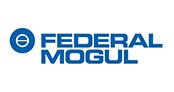 Federal Mogul